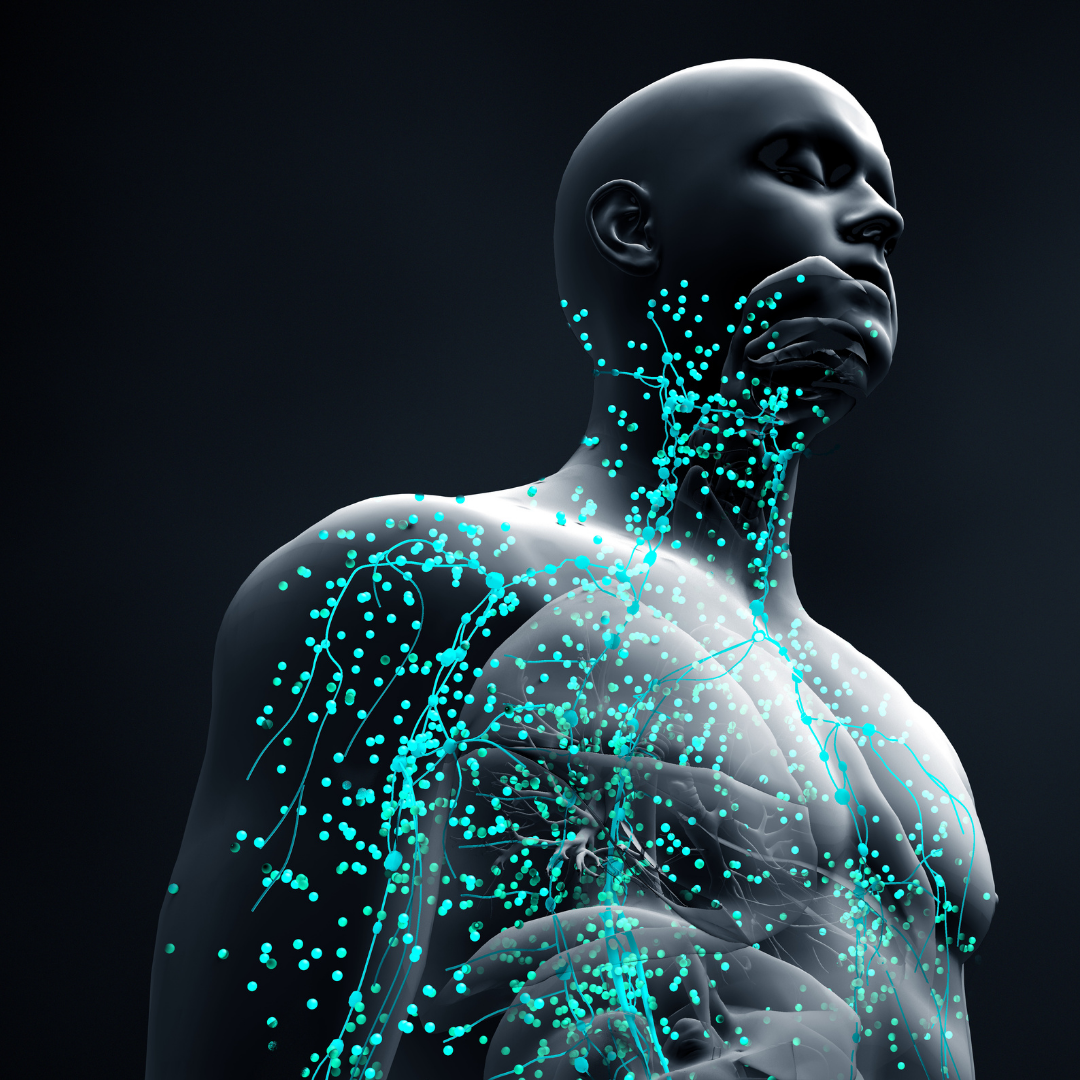 Hydrogen Water benefits Immune System